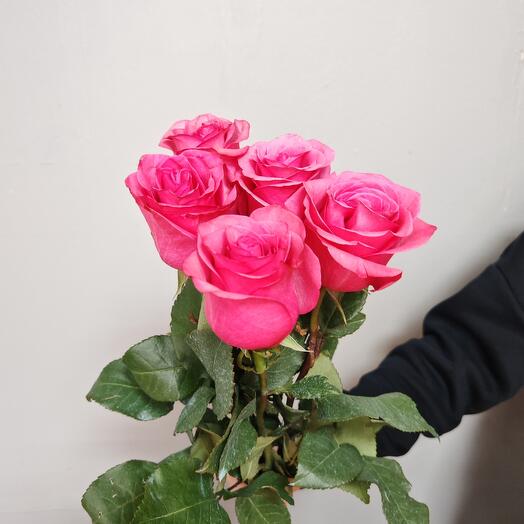 Розы розовые  5шт