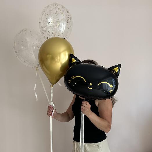 Black cat
