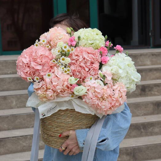 Кашпо с премиум гортензиями