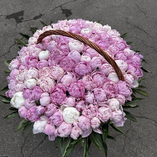 Премиум корзина из 101 пиона Сара Бернард