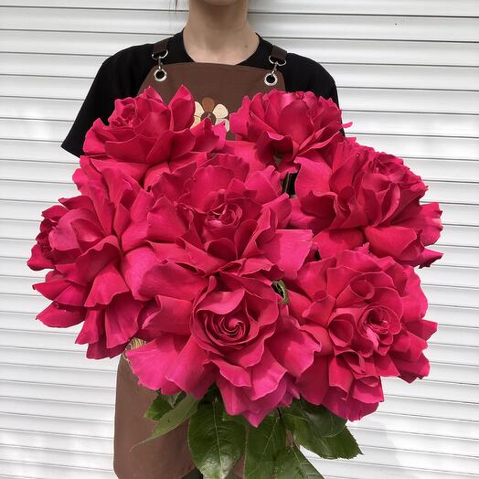 Ramo de rosas francesas brillantes 7 piezas