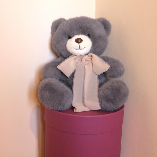 Серый мишка в вишневой шляпной коробке