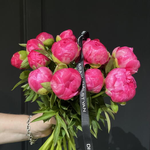 Peonias rosas