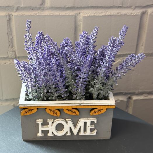 Лаванда в ящичке Home