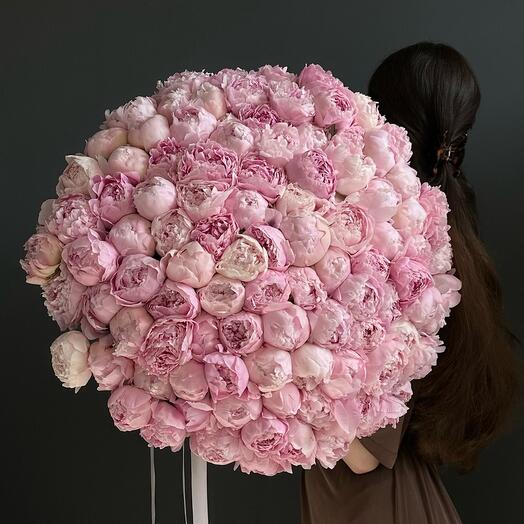 101 peony