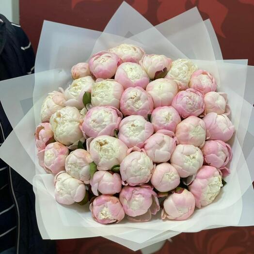 35 нежных пионов в упаковке