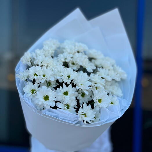 Ромашки в кульке