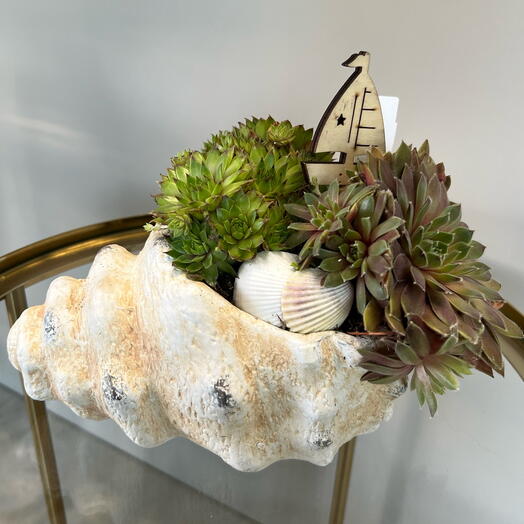 Морской Цветок 🐚