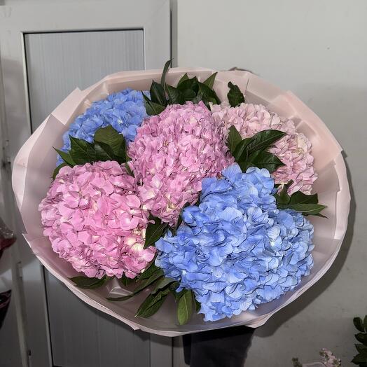 Королевские Гортензияии