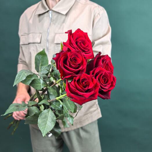 Красная роза Эксплорер Explorer 5 шт