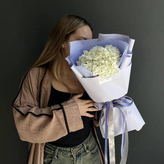 Hydrangea White in lavender
