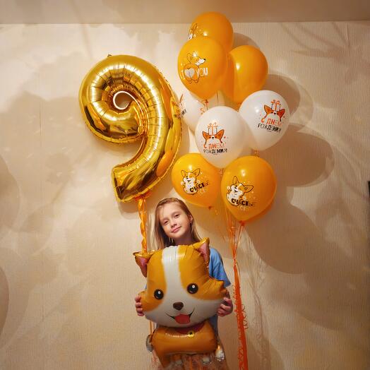 Шары с корги на 9 лет ребенка