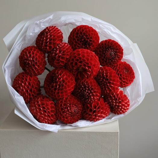Георгины «Red»