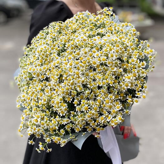 Orientale! di 31 rametti di margherite 🌼 🦋 🍀 più fiori freschi e meno involucro vuoto =)
