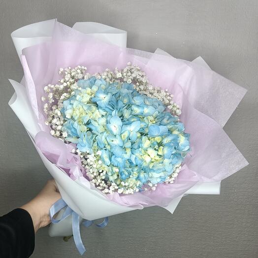 Гортензия и гипсофила 🤍💙