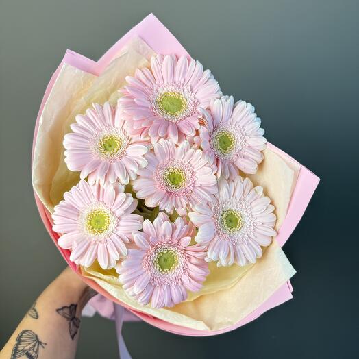 Розовые герберы на 1 сентября 💗