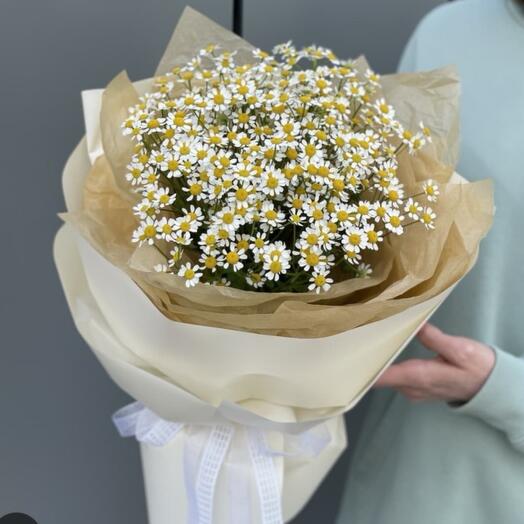 Букет из рамашек( танацетум)