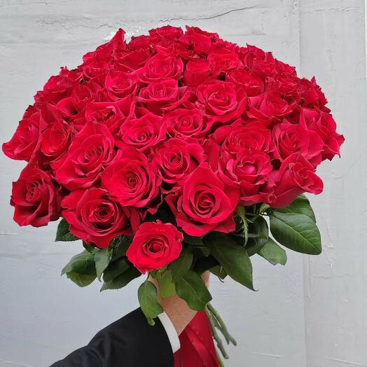51 RED ROSE