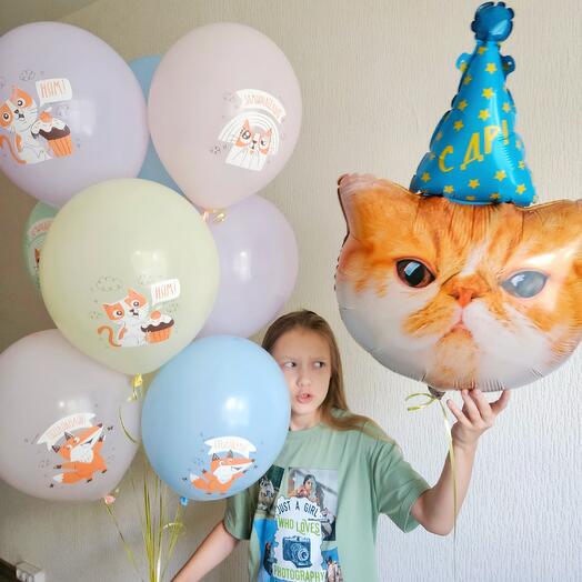 Воздушные шары с котиками