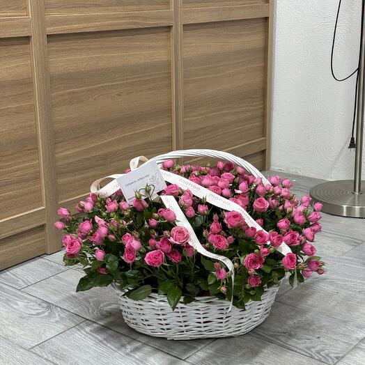 София в корзине