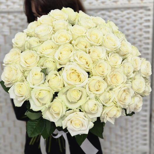 White 51
