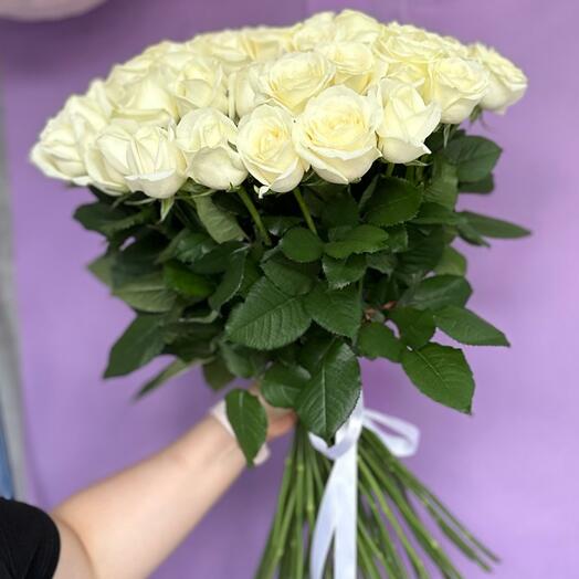 51 белая Роза фиолетовым фоном