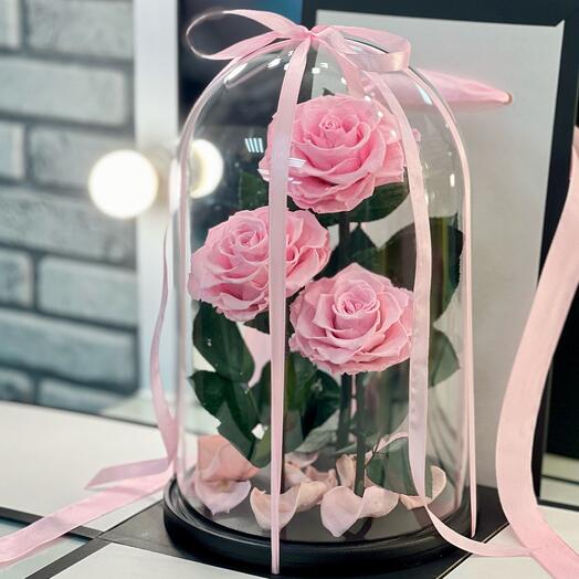 Trio "Lux" pale pink Roses in a flask in a gift box / 32 cm