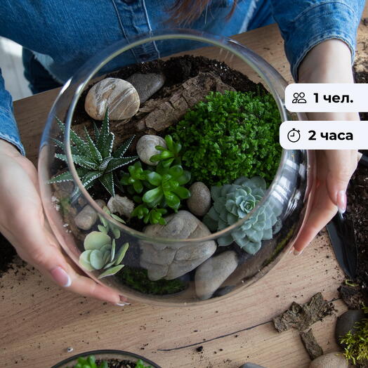 Мини-сад. Мастер-класс по созданию флорариума формы боул