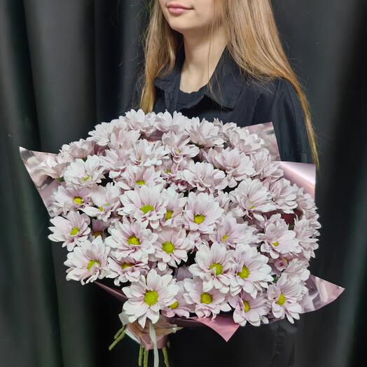 Букет из 9 нежно-розовых ромашковых хризантем (код 429)