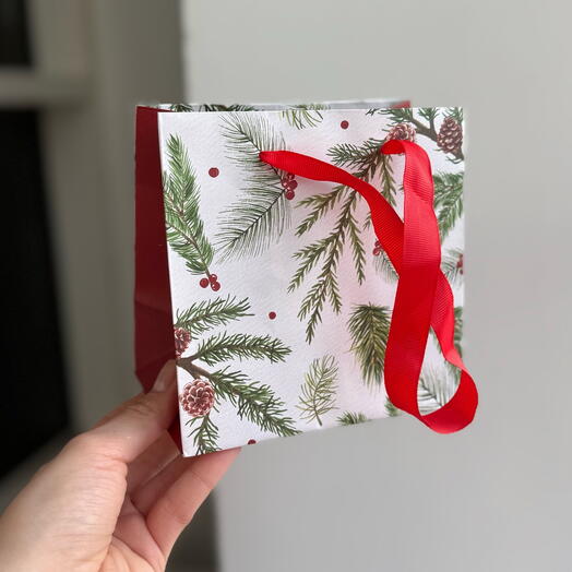 Пакет mini «Еловые Веточки»