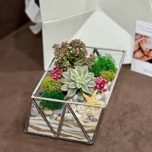 Мини флорариум с цветами - подарок на день рождения