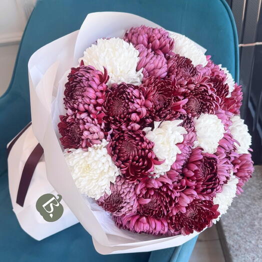 Хризантемы Бигуди — сливовый соблазн