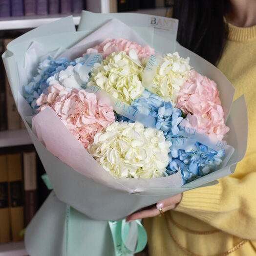 9 гортензий