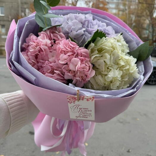 Шикарный близ