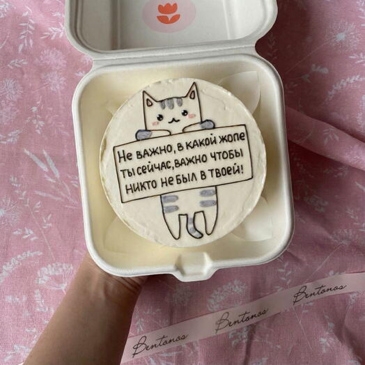 Бенто котик1