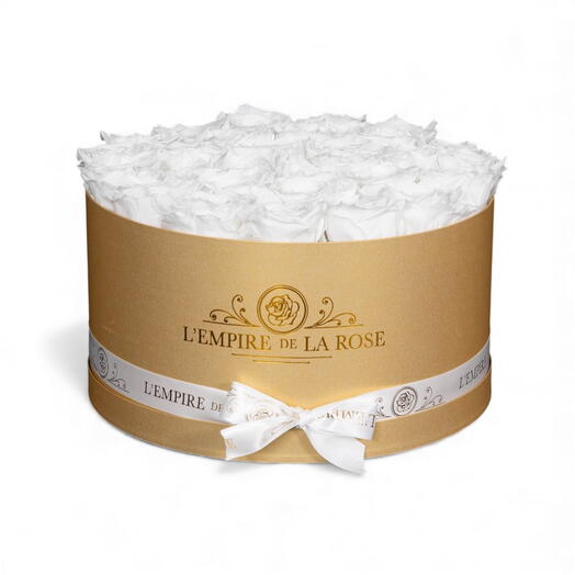 Box Avenue Montaigne