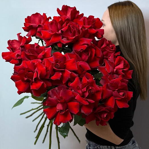 17 бордовых французских роз