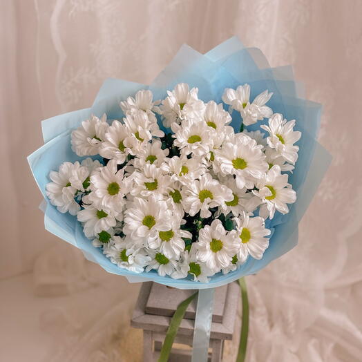 Букет из 5 ромашковых хризантем in blue
