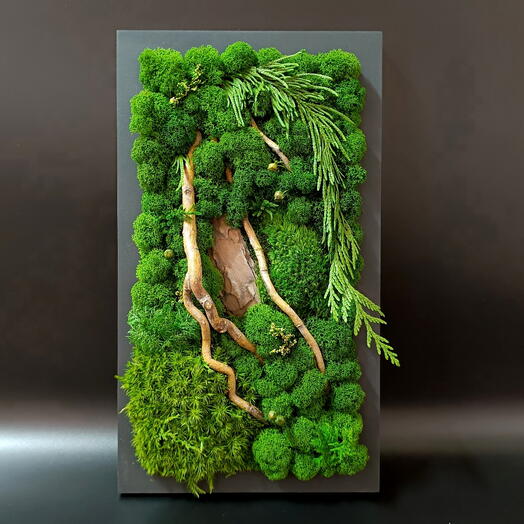 Экокартина из стабилизированного мха