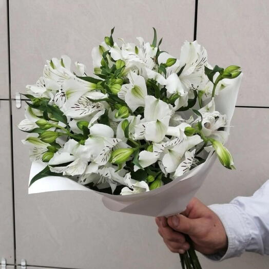 "Свежее утро"
