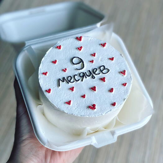 Бенто мини 9 месяцев