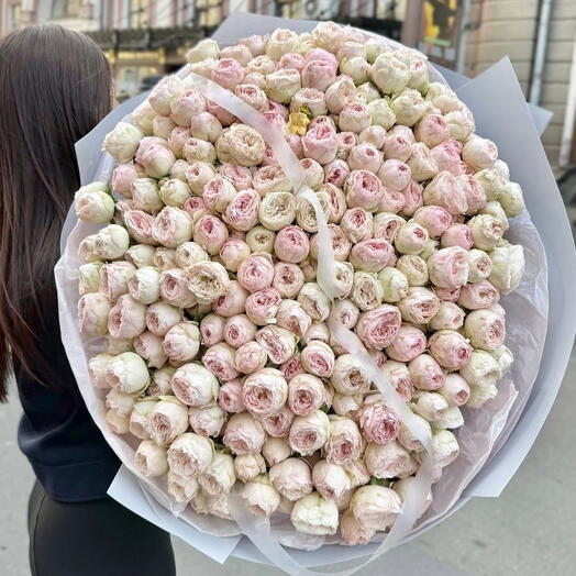 101 пионовидная кустовая роза