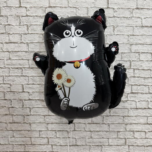 Воздушный шар кот с ромашками