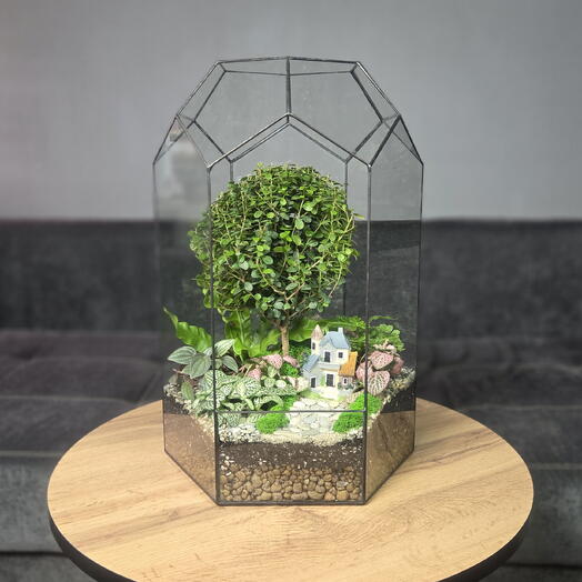 Флорариум "Мирсина" XXL