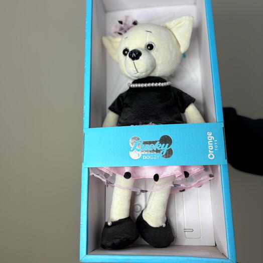 Мягкая игрушка в коробке