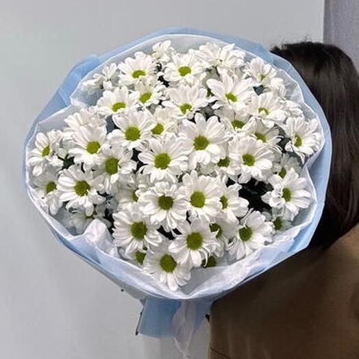 Букет из 9 кустовых ромашек в стильной упаковке 💫