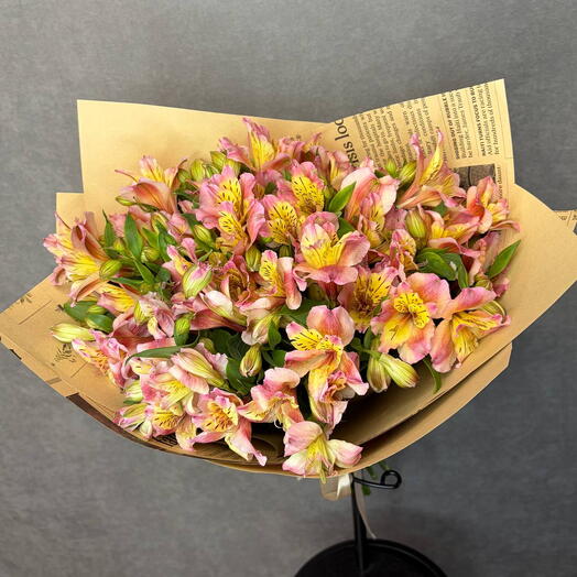 Alstromeria