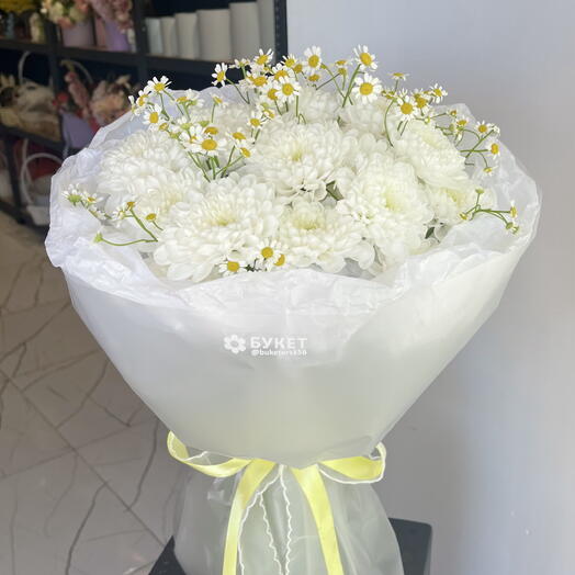 Ромашки (1)