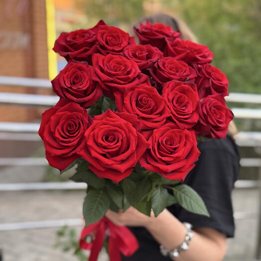 Роза красная Эксплорер 15шт
