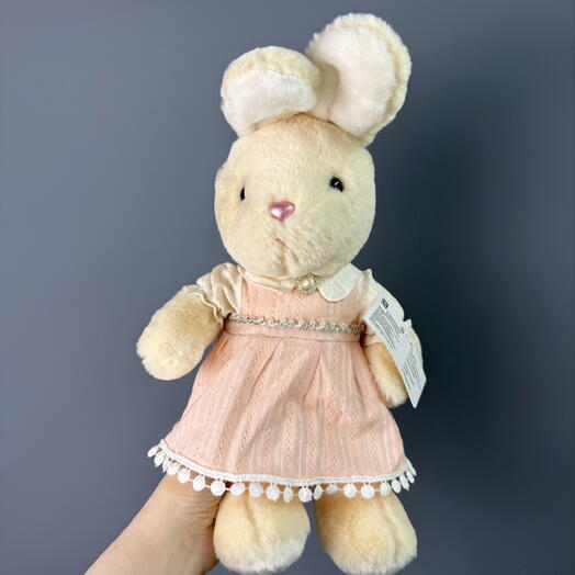 Stuffed animal Bunny in a dress cute girl🐰
